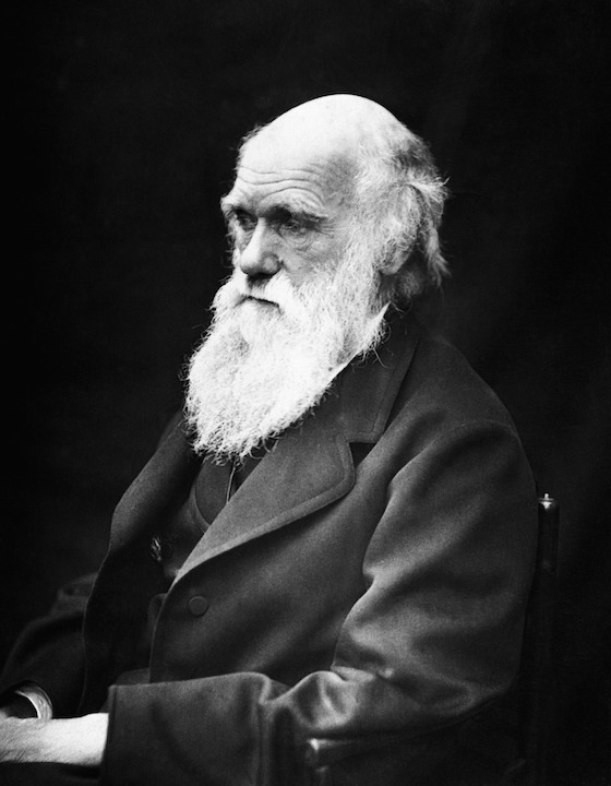  International Darwin Day