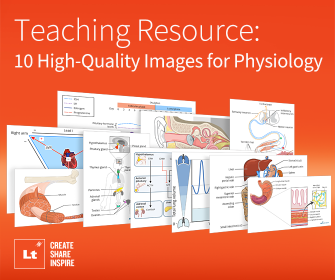 Teaching Resource: 10 High-Quality Images for Physiology | ADInstruments