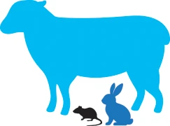 Designed For All Animal Models - Big And Small