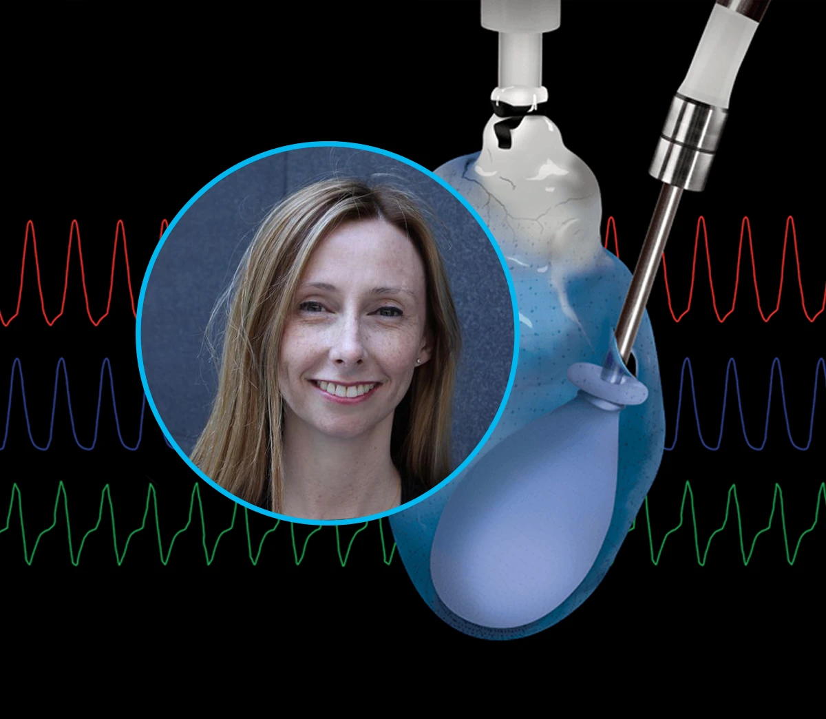 An introduction to isolated Langendorff heart