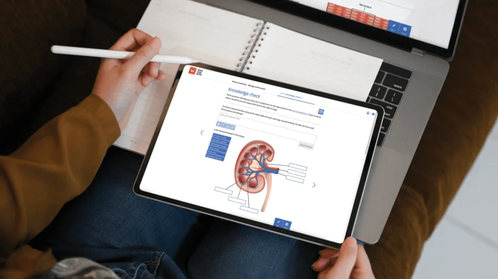 Creating low-cost, inclusive course materials for anatomy and physiology