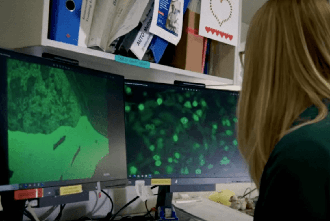 How active learning reshapes physiology education for the better