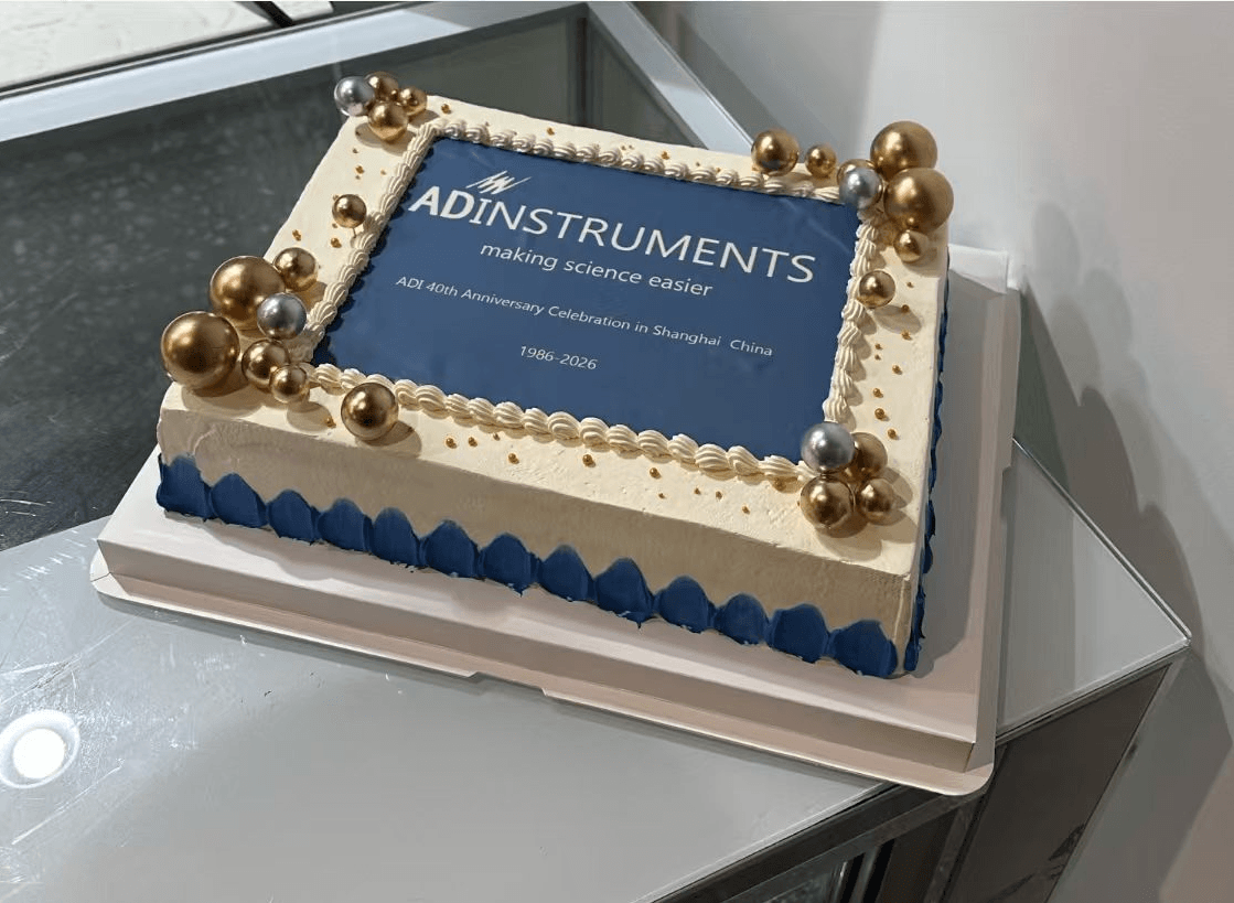 China 40th anniversary cake