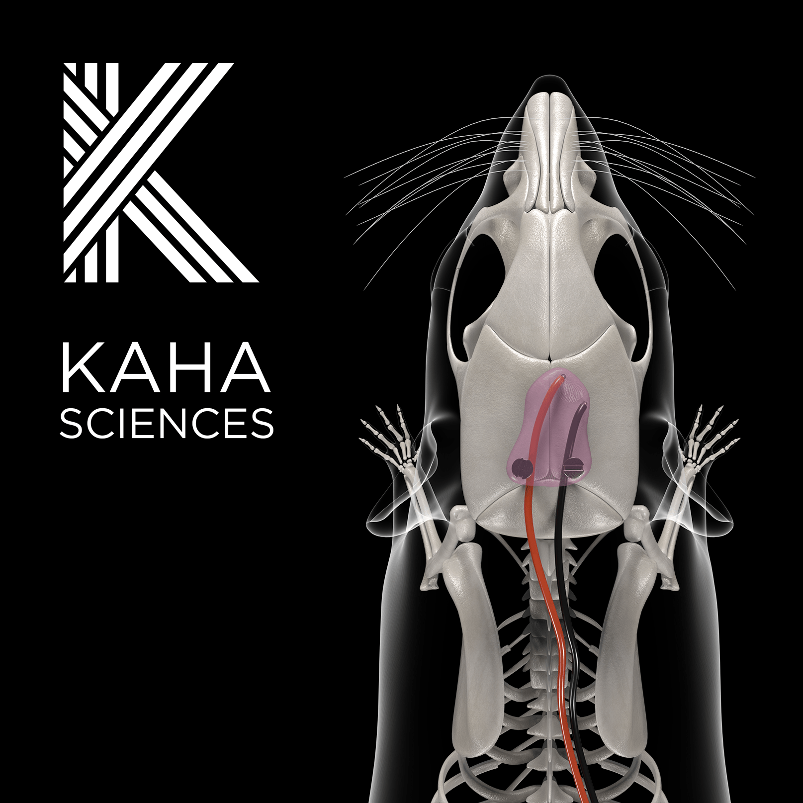 Kaha Telemetry logo