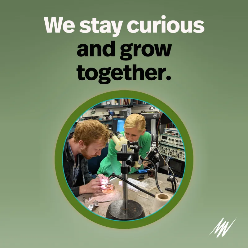 Stay curious and grow together