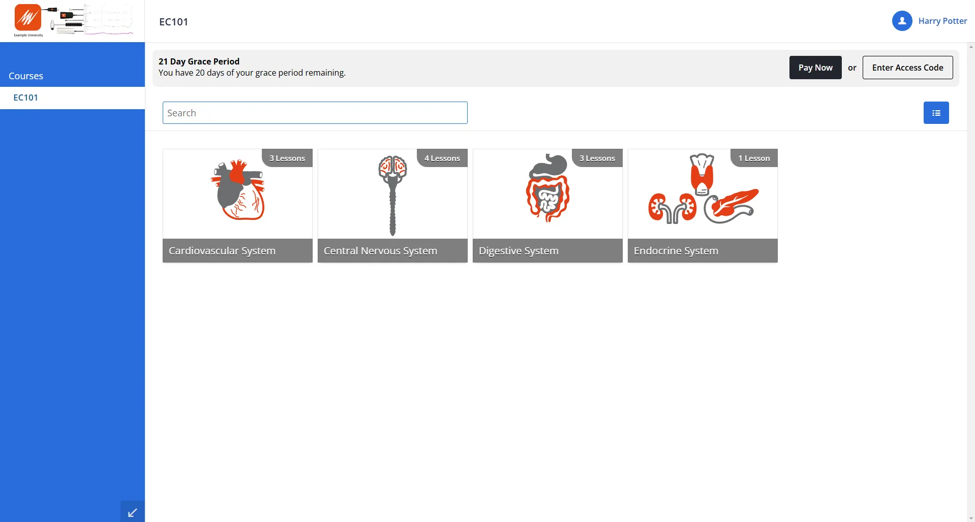 Lt student homepage displaying the prompt for an access code