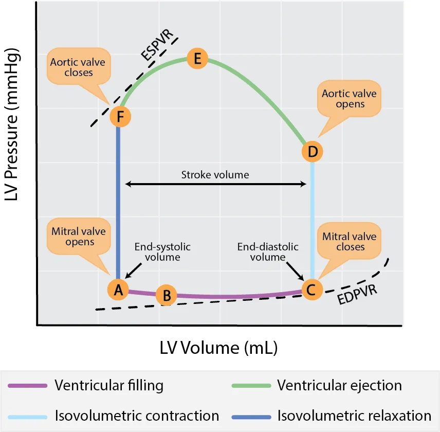 Pressure Volume Loop Parameter Schematic