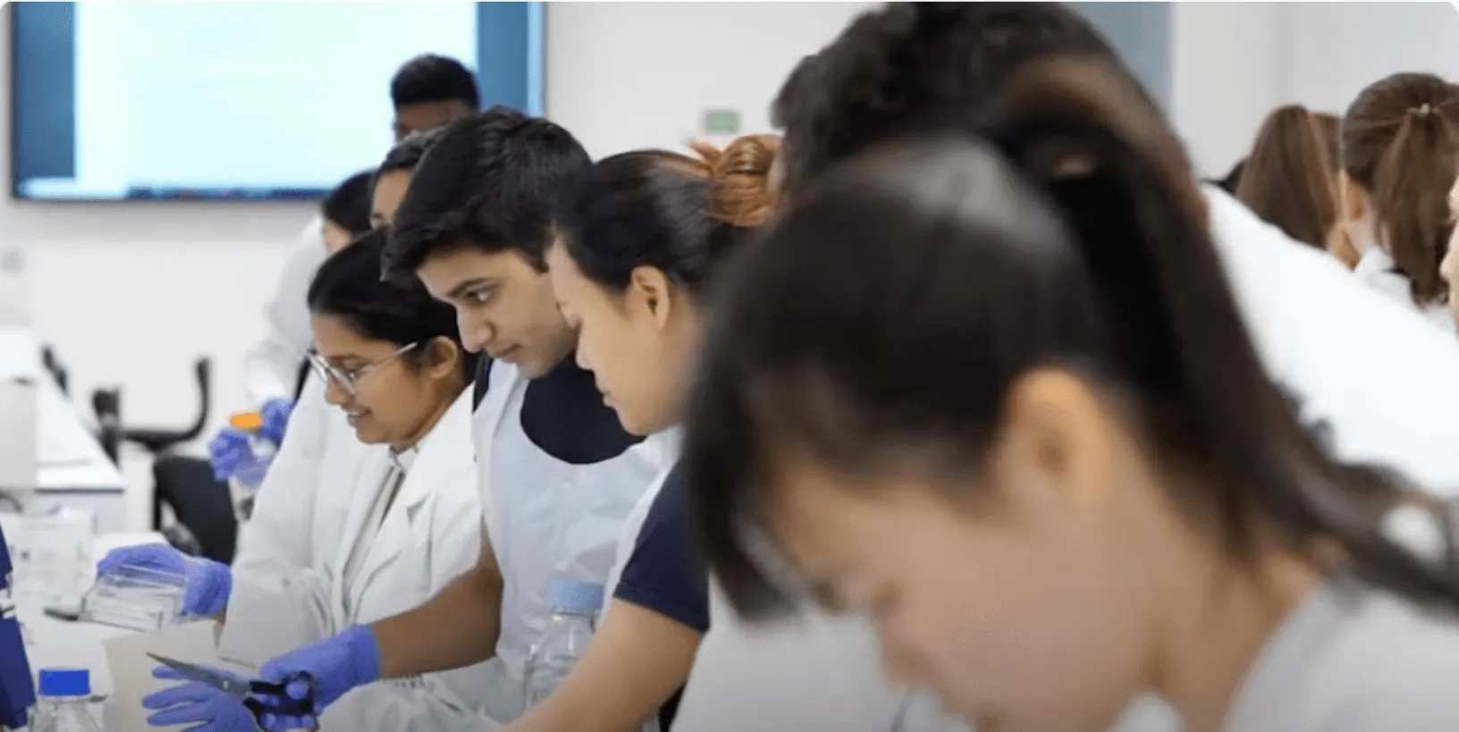 A photo of students lined up at a bench in a lab setting, focused on their work.