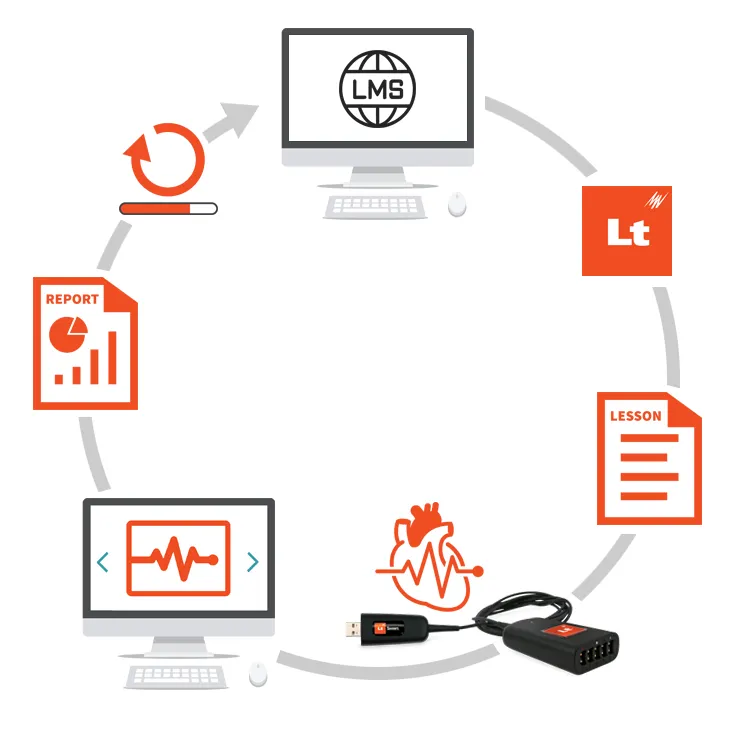Workflow Diagram 