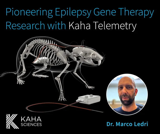 Epilepsy Gene Therapy-Blog