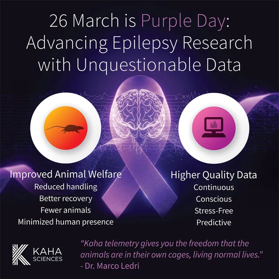 PurpleDay blog