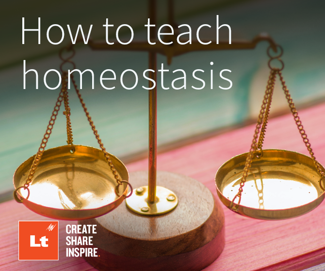 A photo of a set of brass scales on a multicolored wooden surface. Overlaid is the text, "How to teach homeostasis" and the Lt logo.