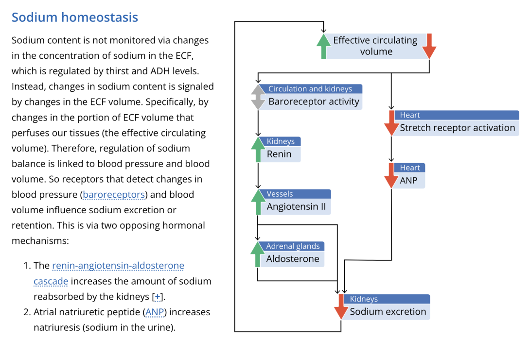 Text and a diagram in Lt on sodium homeostasis.