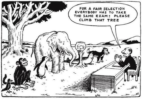 A black-and-white cartoon which shows a variety of animals ranged in front of a human who sits behind a desk. There is a tree behind the animals. The man is saying, "For a fair selection, everybody had to take the same exam: please climb that tree." The animals are all different (bird, monkey, penguin, elephant, goldfish in a bowl on a stump, seal, and dog).