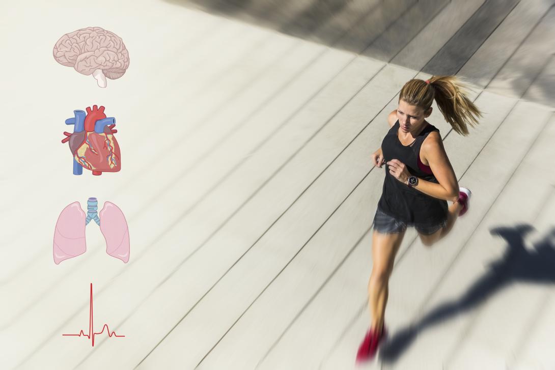 woman running with four icons to the side of her, they are a brain, heart, lungs, and a pulse signal