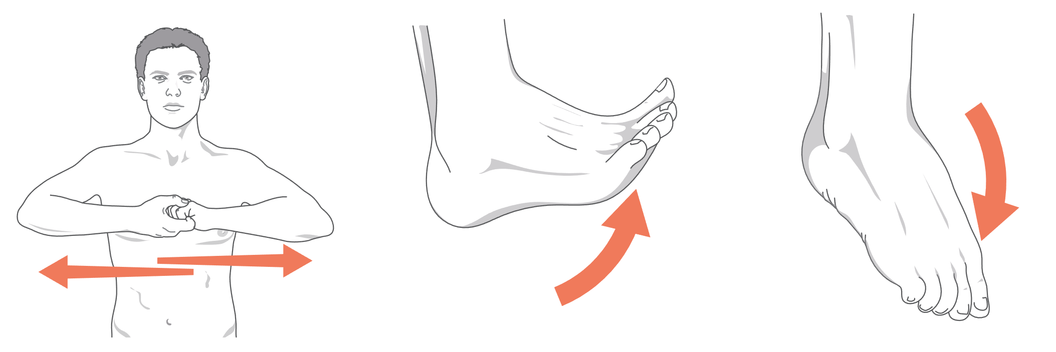 Three diagrams showing how to perform the Jendrassik maneuver. dorsiflex the foot, and plantarflex the foot.