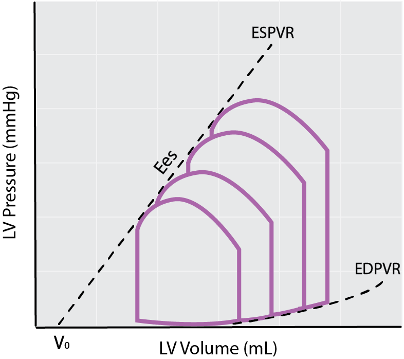 Pressure-Volume Loop preload reductions - EDPVR and ESPVR relationships