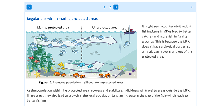 An illustration of the benefits of marine protected areas in relation to population growth.