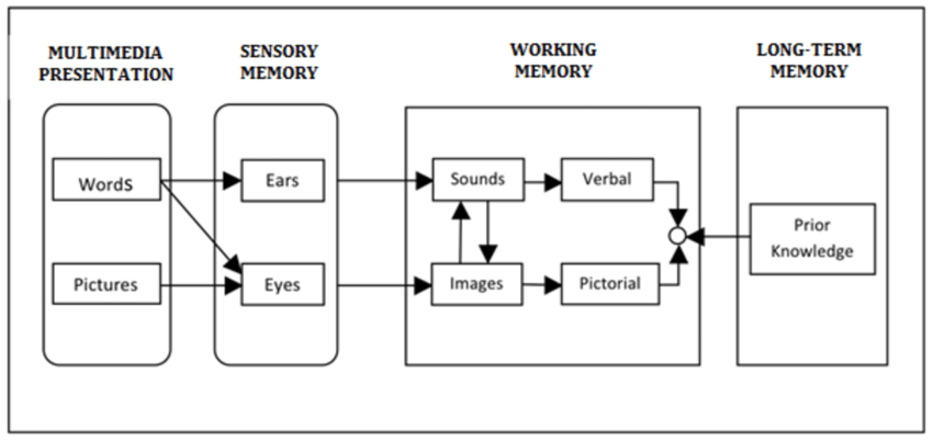 Mayer's Cognitive Theory of Multimedia Learning