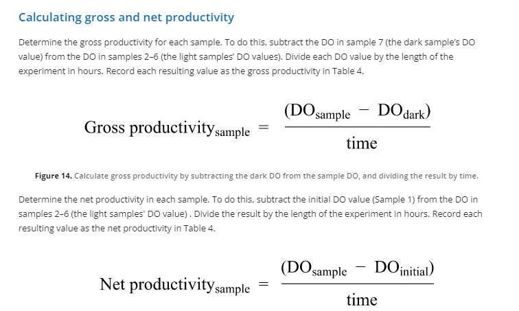 Equations for calculating gross and net productivity.