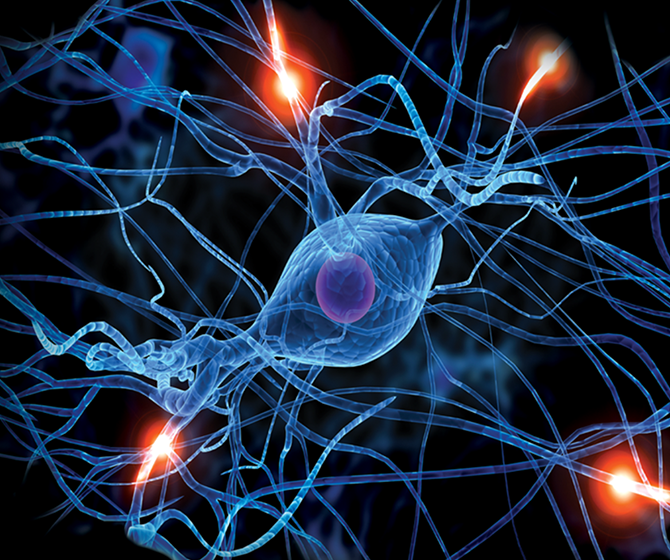 Optogenetic Control of the Enteric Nervous System | Nick Spencer