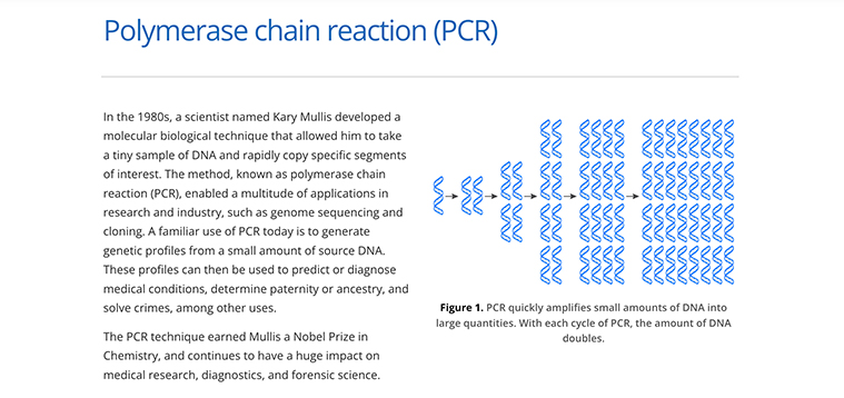 An explanation of the origin of the polymerase chain reaction (PCR) process.