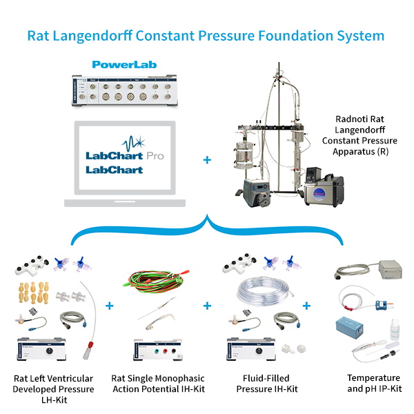 Rat Langendorff Constant Pressure | Cardio + Pharma | ADInstruments