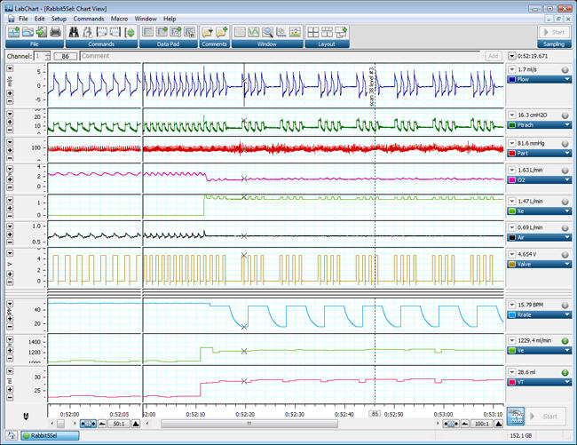 Rabbit Screen Cap