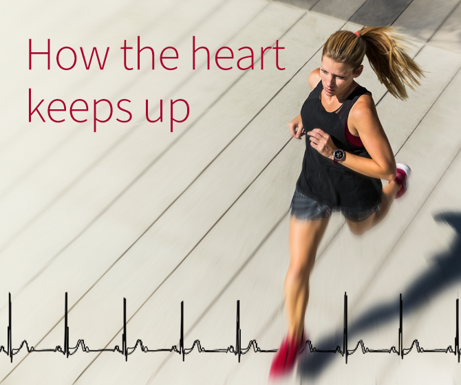 woman running with text next to her reading 'how the heart keeps up'